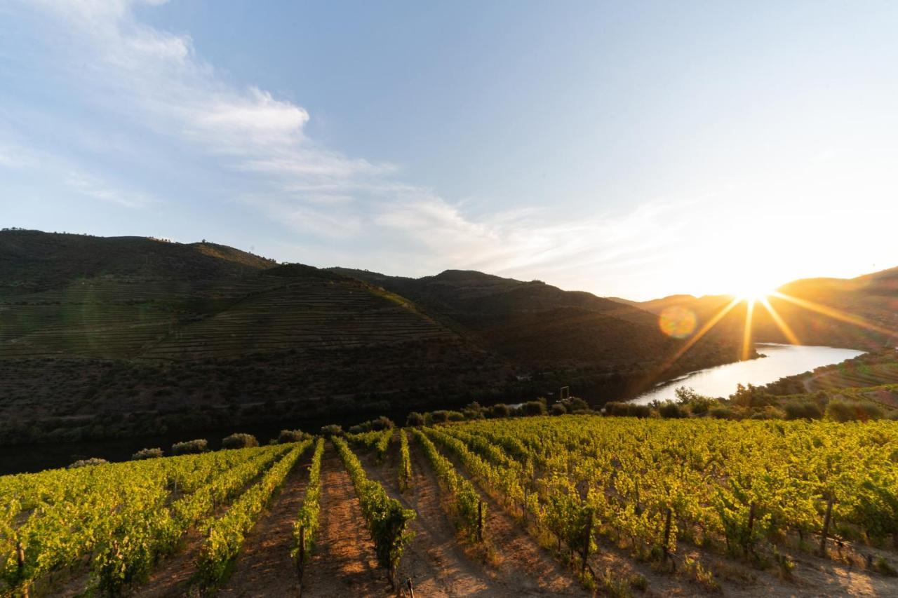 Quinta De S. Jose - Turismo Rural Ervedosa do Douro Bagian luar foto