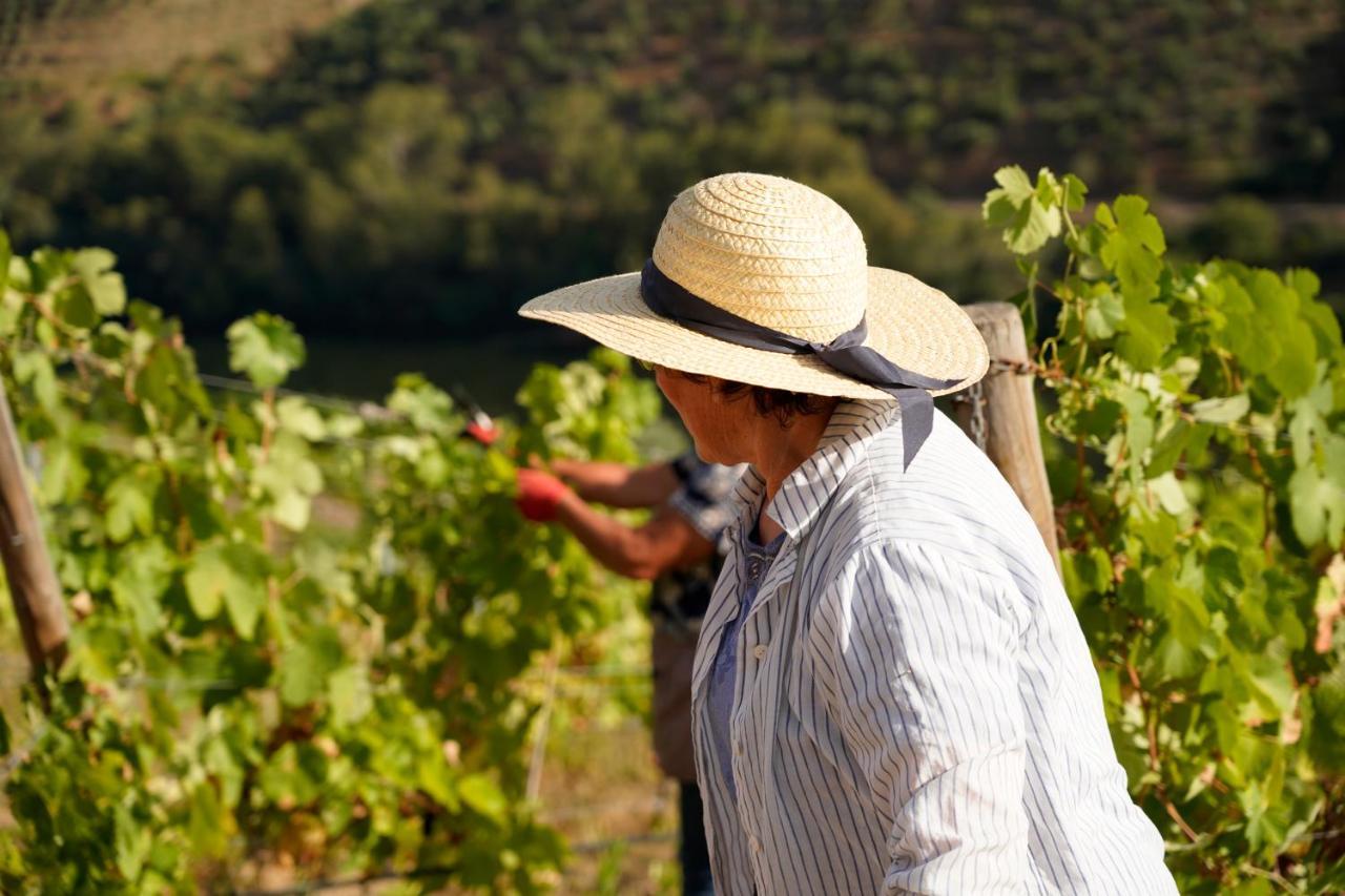 Quinta De S. Jose - Turismo Rural Ervedosa do Douro Bagian luar foto