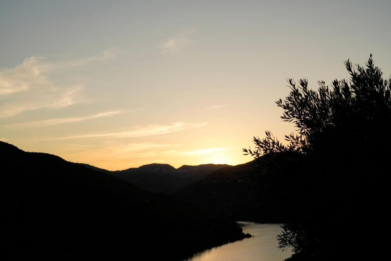 Quinta De S. Jose - Turismo Rural Ervedosa do Douro Bagian luar foto